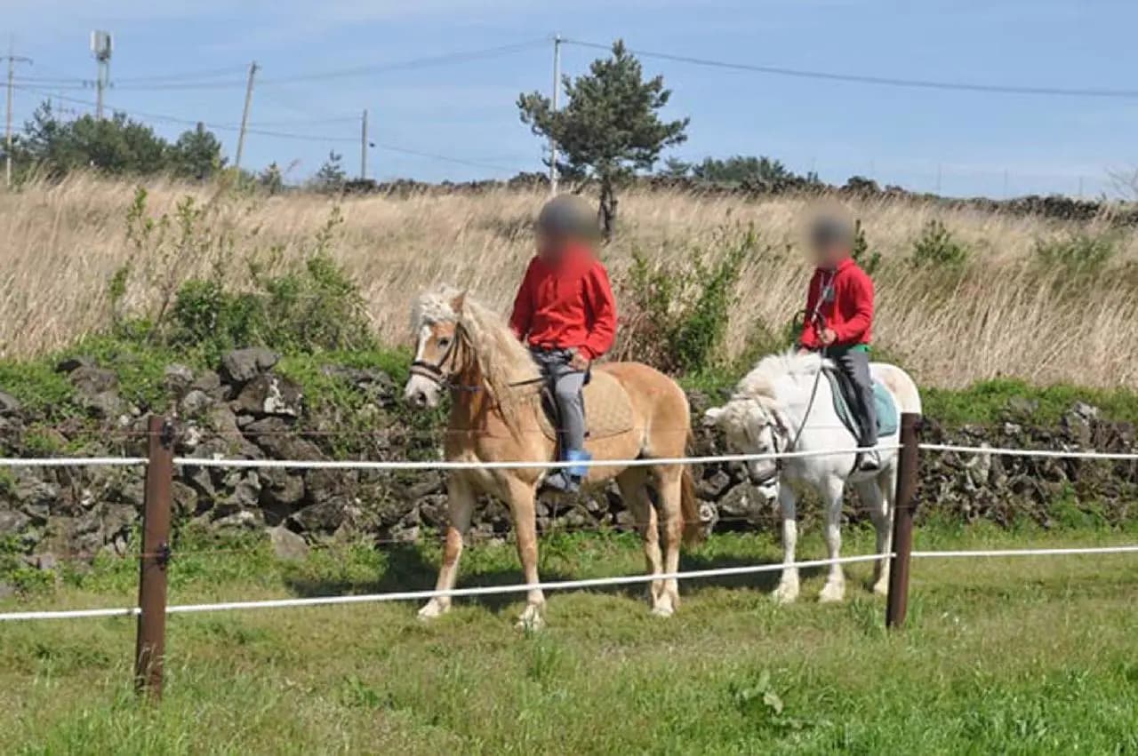 山多斯卡瓦利歐馬術公園 (Sando Cavalier Horse Park)