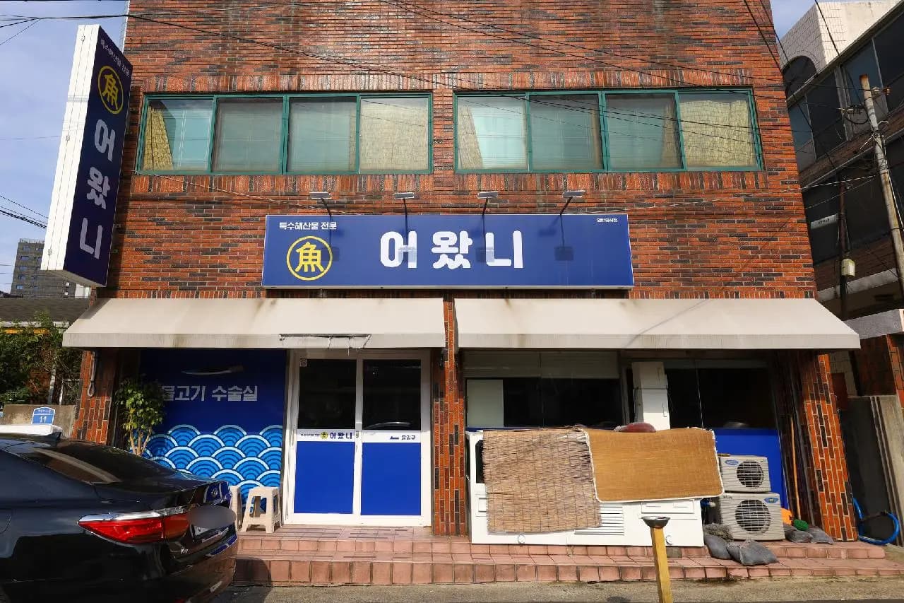 어왔니