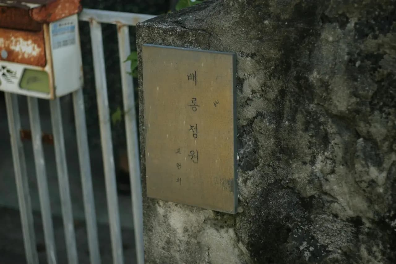 Baerong 庭园 挟才