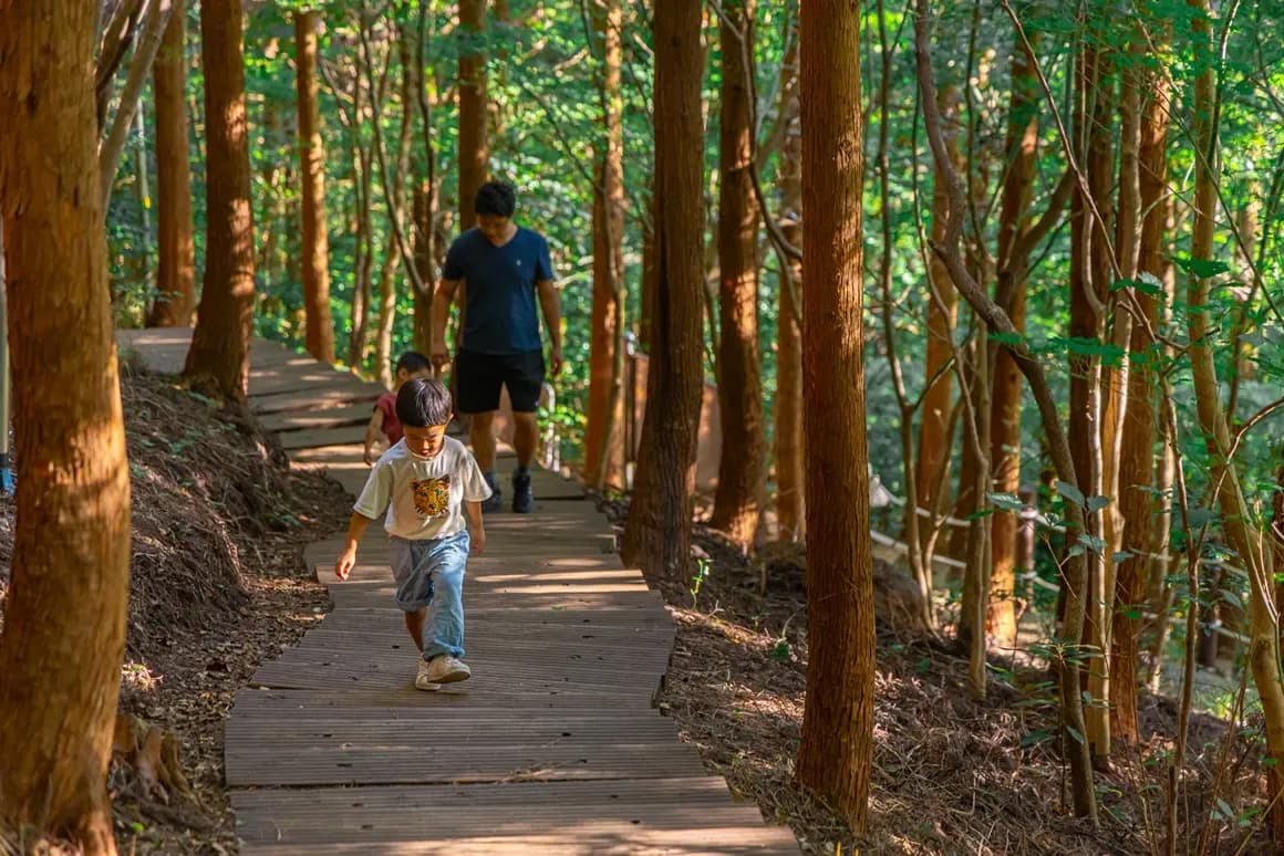 가을을 담다  <서귀포 마을산책, 대륜동> 