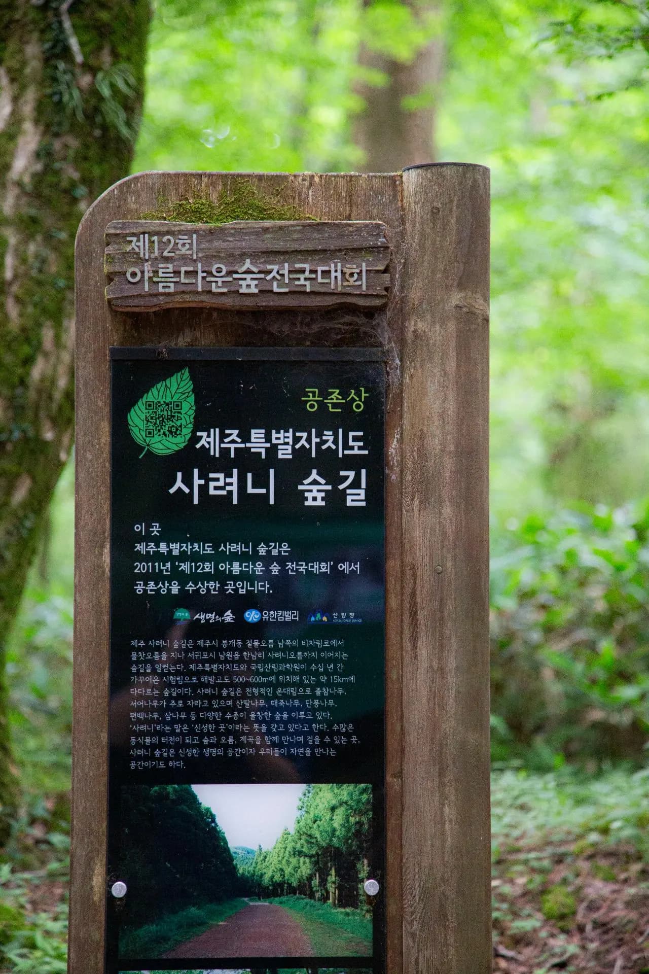 思连伊森林小路