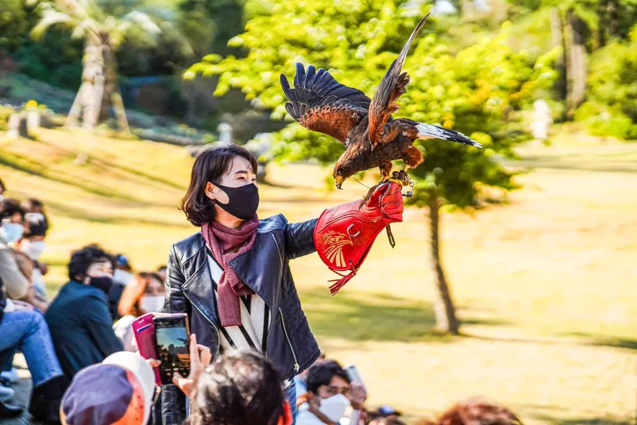 花鳥園