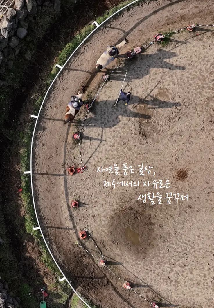 우리의 청춘 이제부터 시작이다 - (E)nergetic의 제주여행 이야기-②