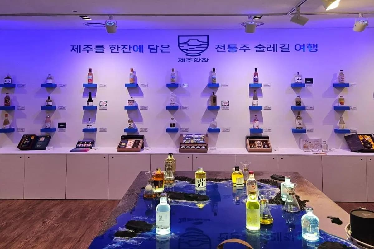 济州一杯_MaisonGlad