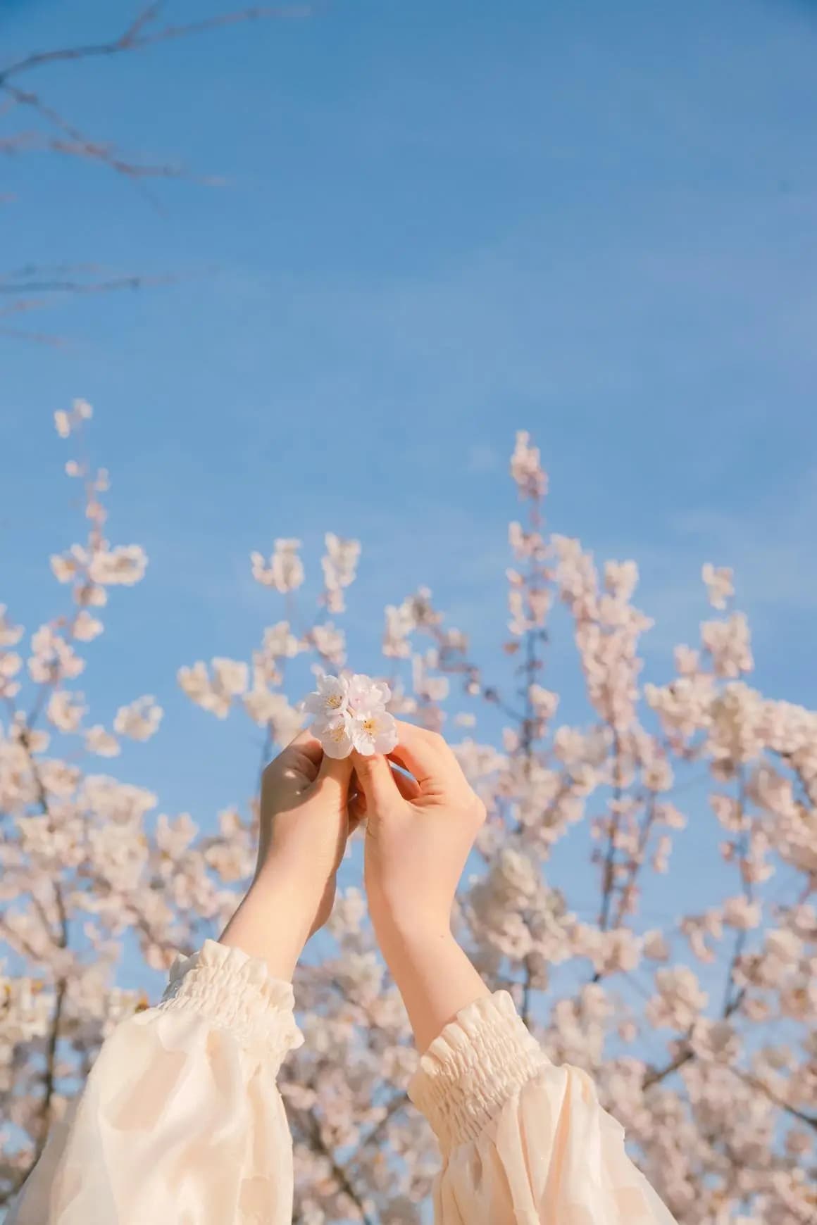 2025 놓치지 말아야 할 ‘봄’ 제주관광 <SPRING IN JEJU: TRAVEL YOUR WAY-제주의 봄, 당신의 취향을 담다>