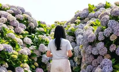 2025 놓치지 말아야 할 ‘여름’ 제주관광 <SUMMER IN JEJU: TRAVEL YOUR WAY - 제주의 여름, 당신의 취향을 담다>