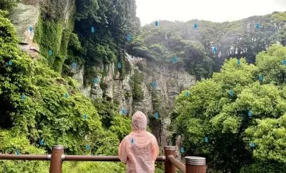 비가 온다고? 오히려 좋아! Rainy Day in JEJU