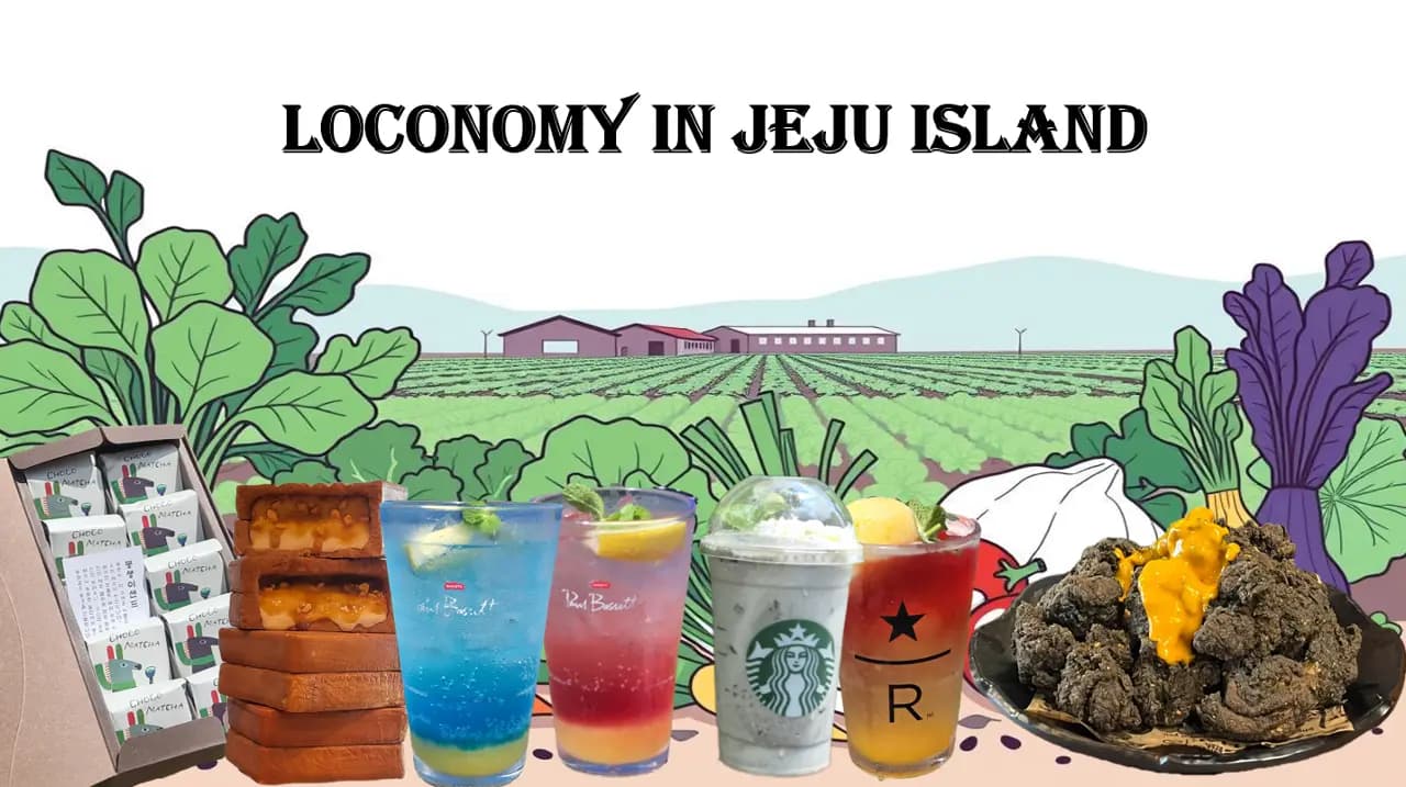 ONLY JEJU EDITION 제주에서만 경험하는 로코노미 (FROM 인턴 백영빈)