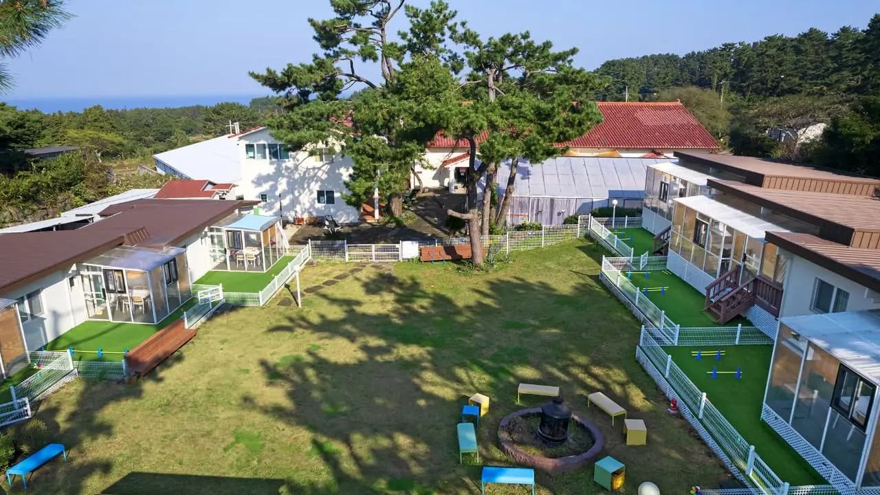 濟州狗狗公園度假村 (Jeju Daengdaeng Park Resort)