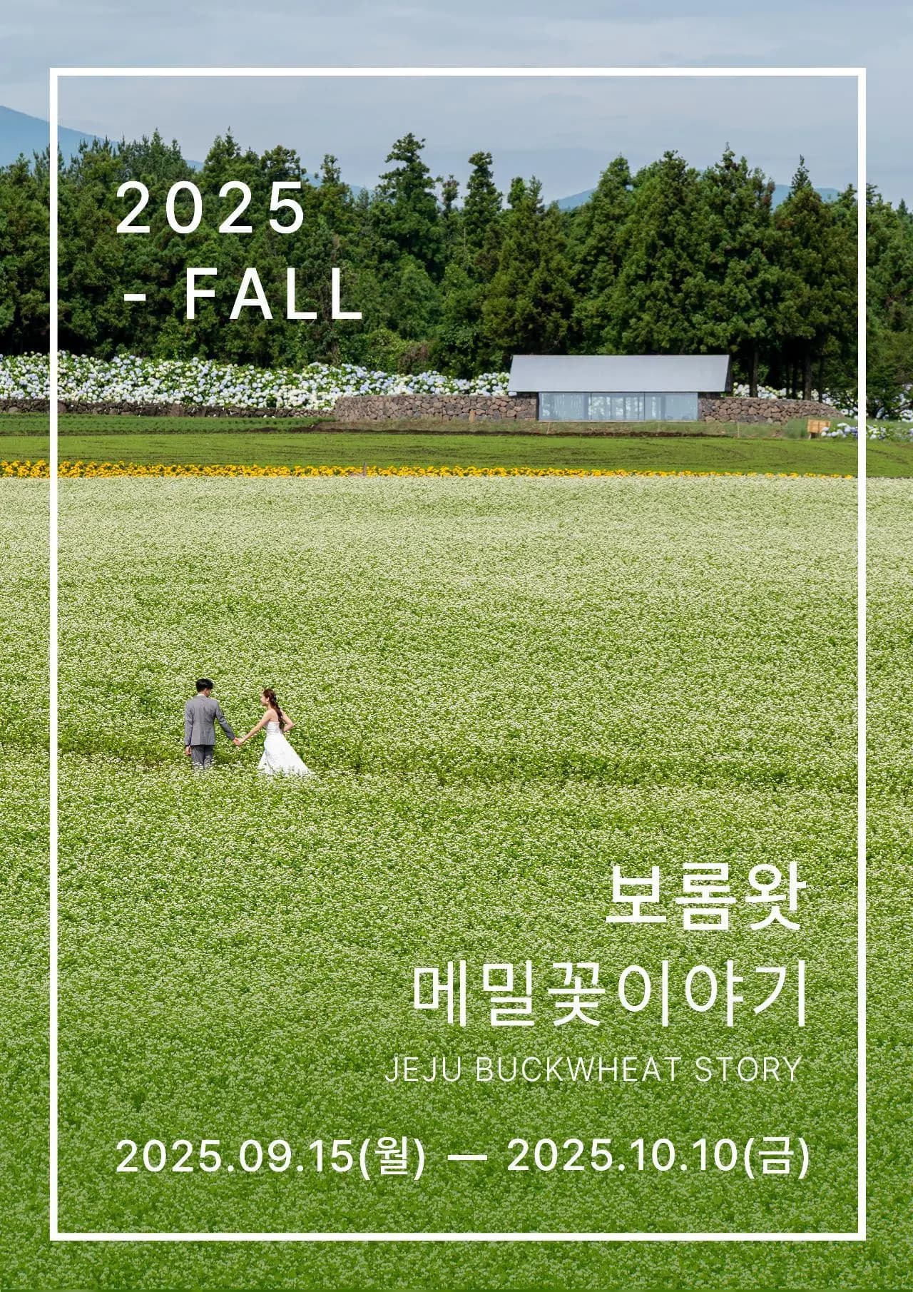 축제의 열기부터 고즈넉한 힐링까지, 황금연휴 제주에서 즐기는 다채로운 경험