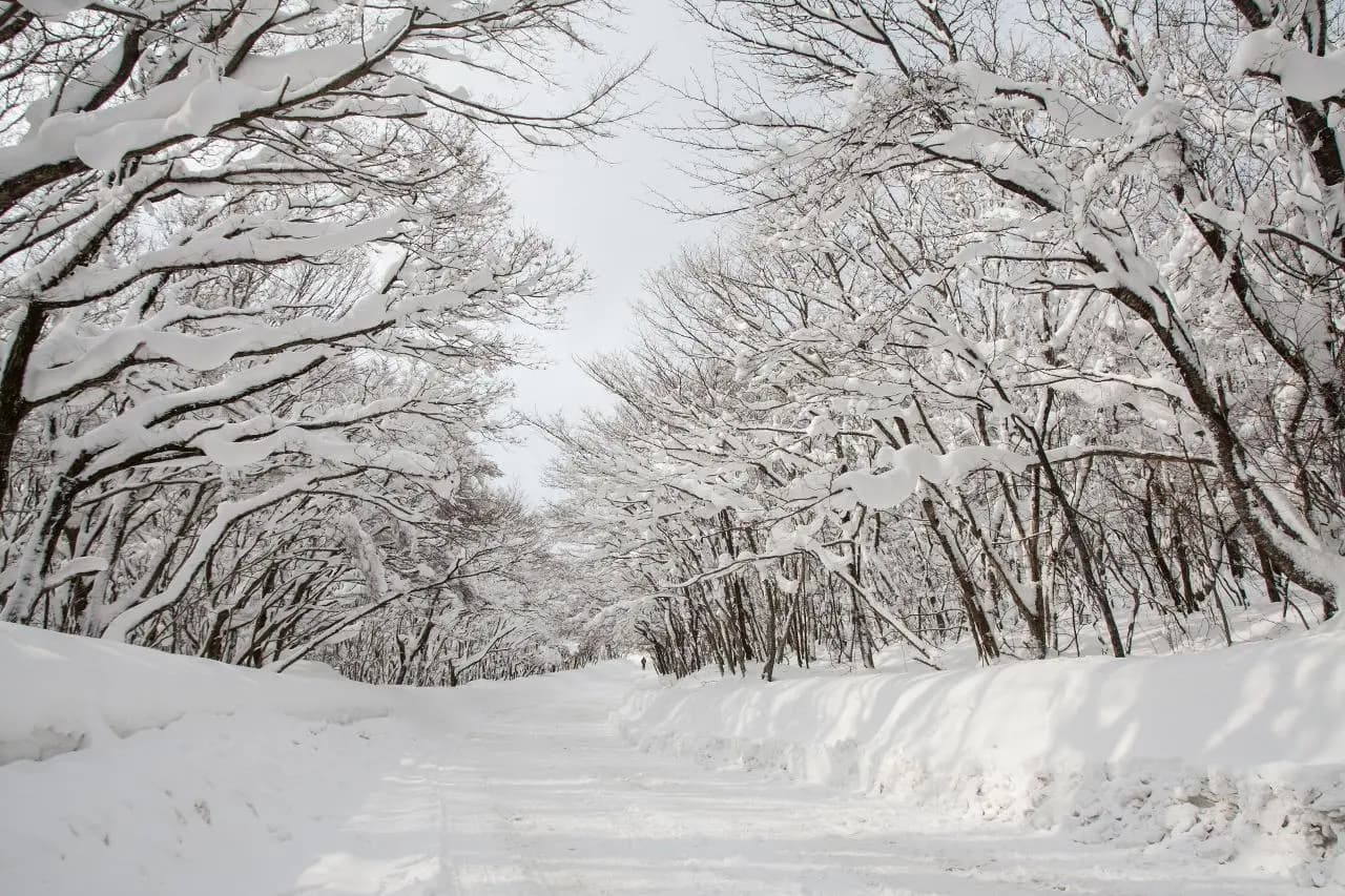 2025 놓치지 말아야 할 ‘겨울’ 제주관광 <WINTER: TRAVEL YOUR WAY - 제주의 겨울, 당신의 취향을 담다>