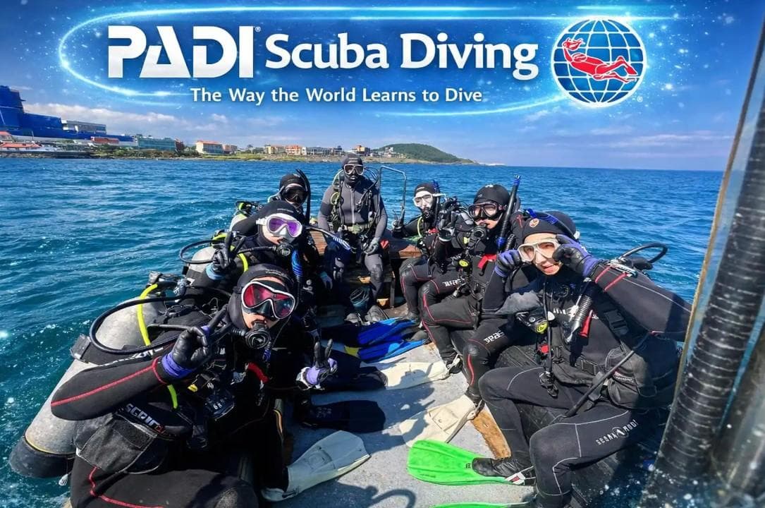 Jeju Sea Sky Dive Center
