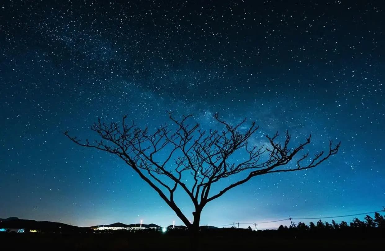 밤이 더 빛나는 <제주 여름 야간 여행>