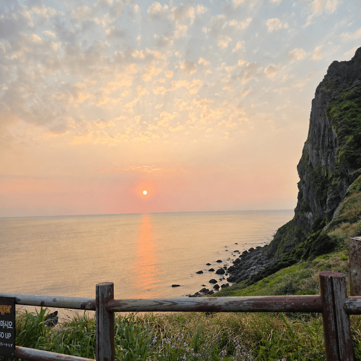일본 미식가도 반한 제주 여행