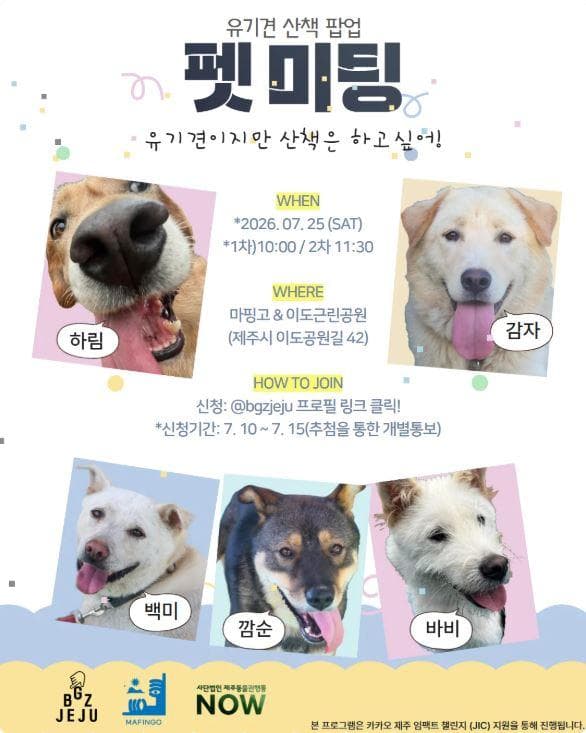 유기견 산책 팝업 <펫 미팅> 