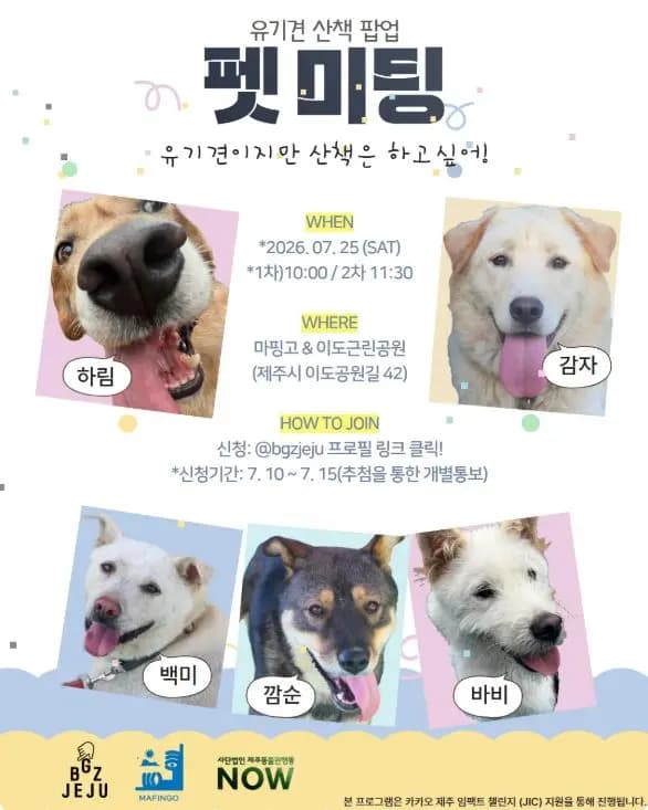 Stray Dog Walking Pop-up <Pet Meeting> 
