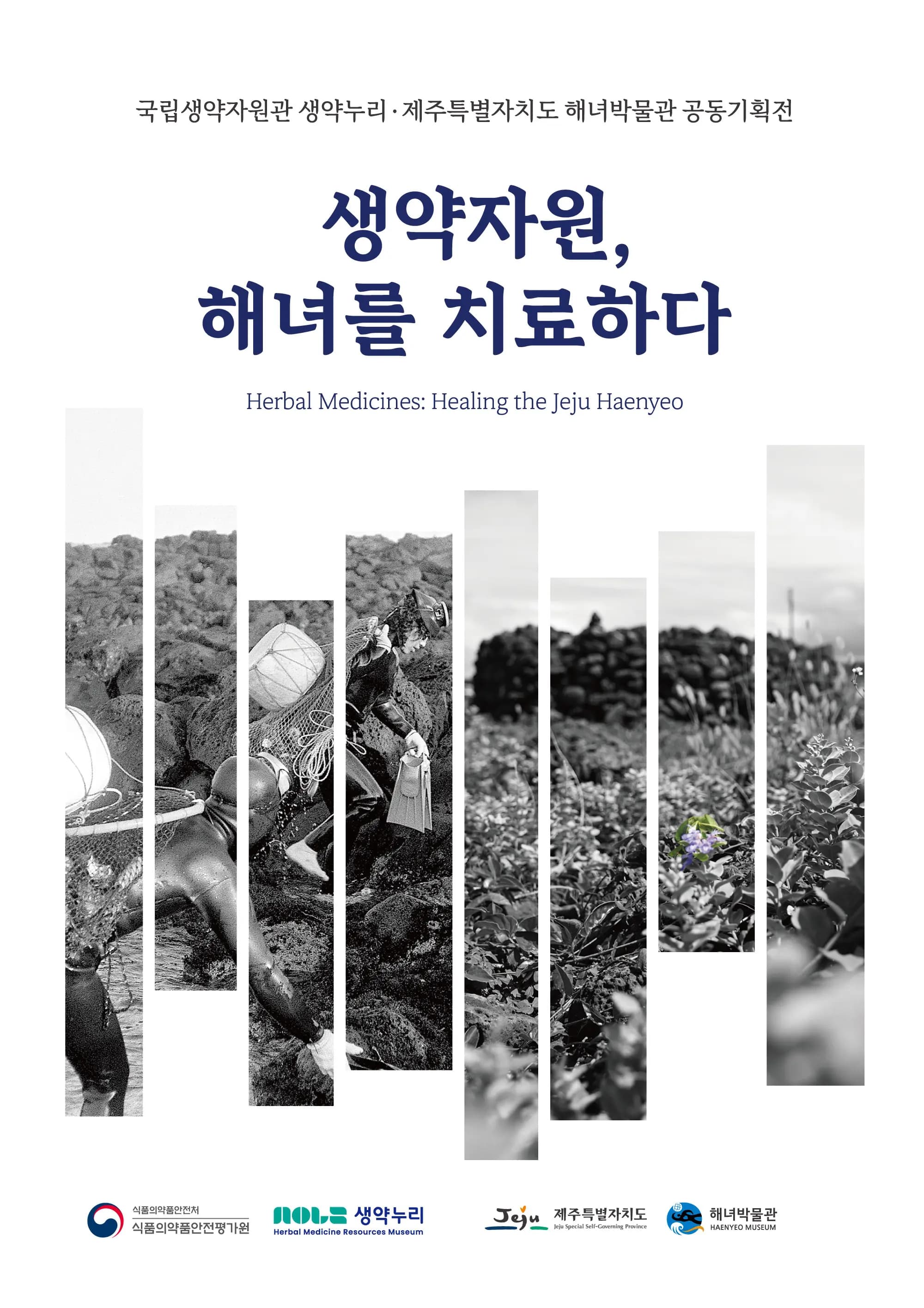 생약자원, 해녀를 치료하다