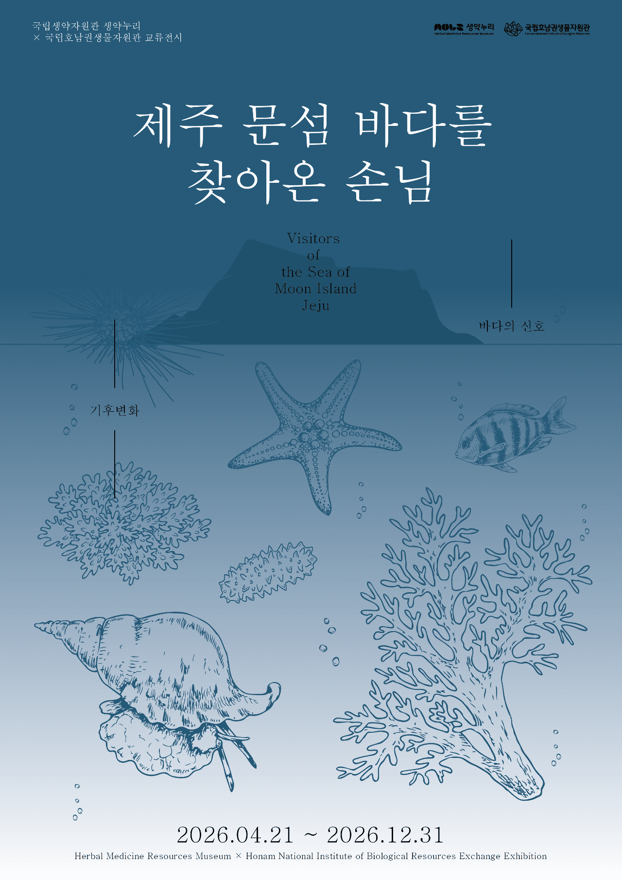 제주 문섬 바다를 찾아온 손님