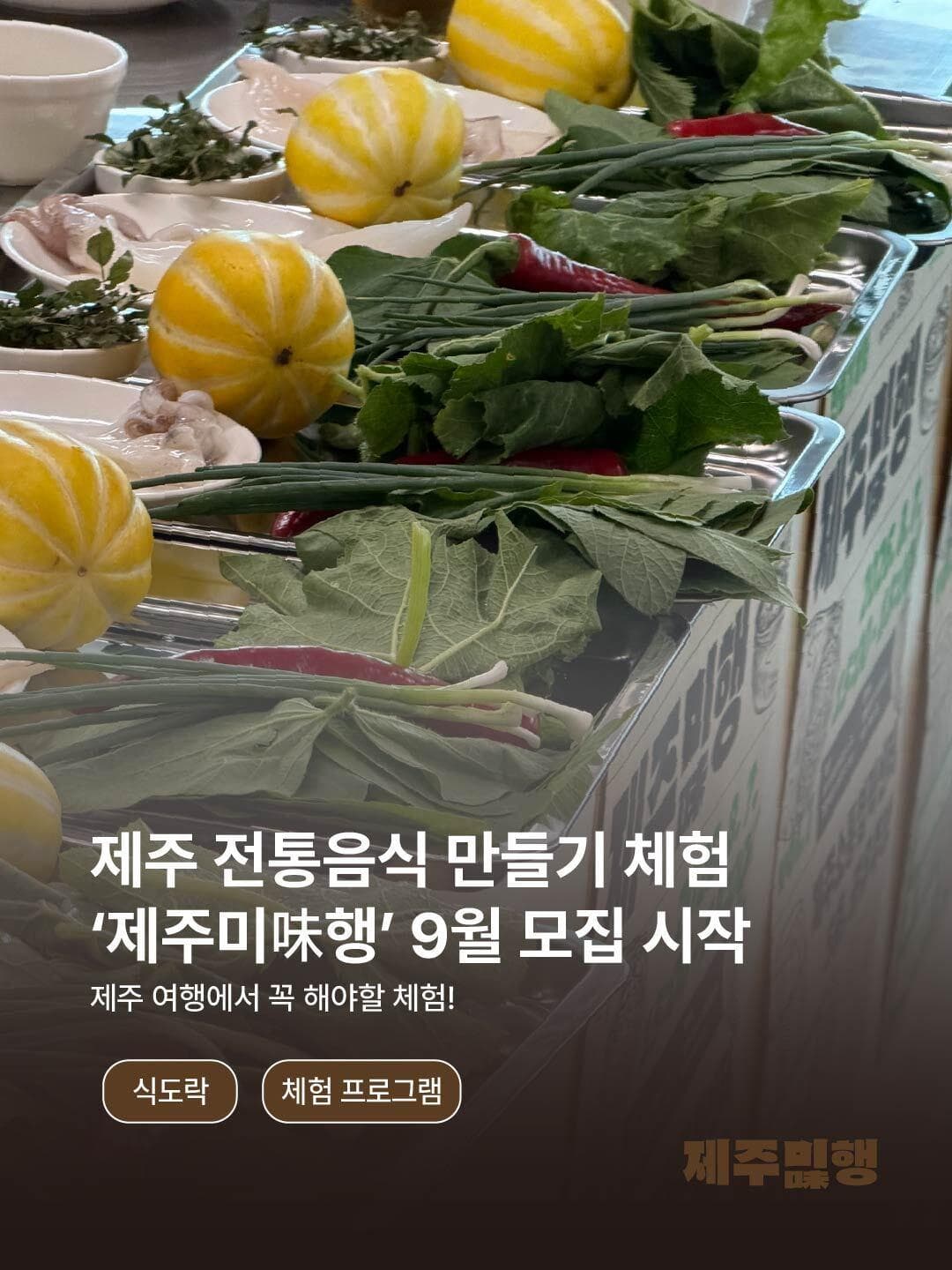 [제주특별자치도관광협회] 제주미(味)행 Vol. 11-12 (2026.09 / 선착순 마감)