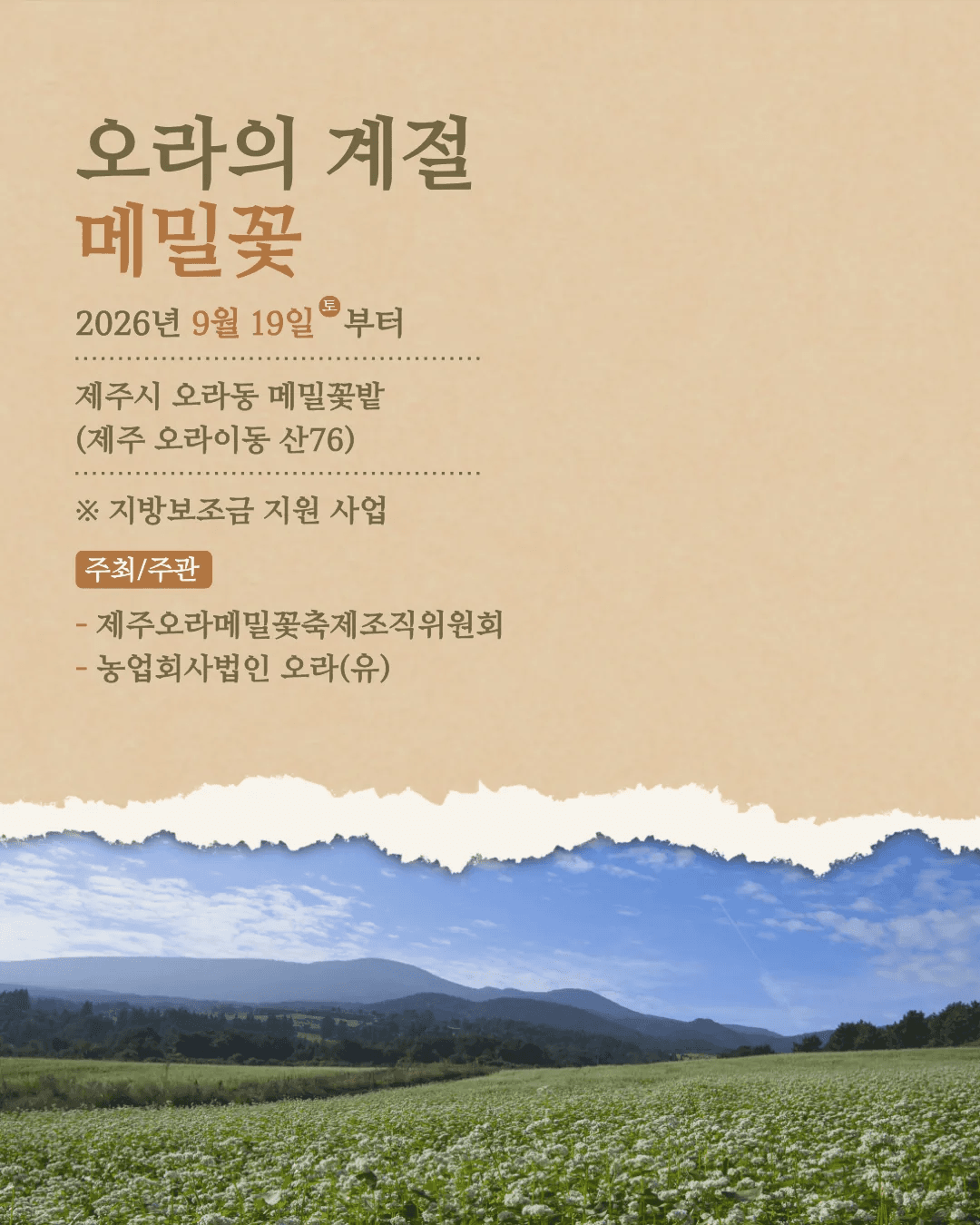 오라의 계절 : 메밀꽃