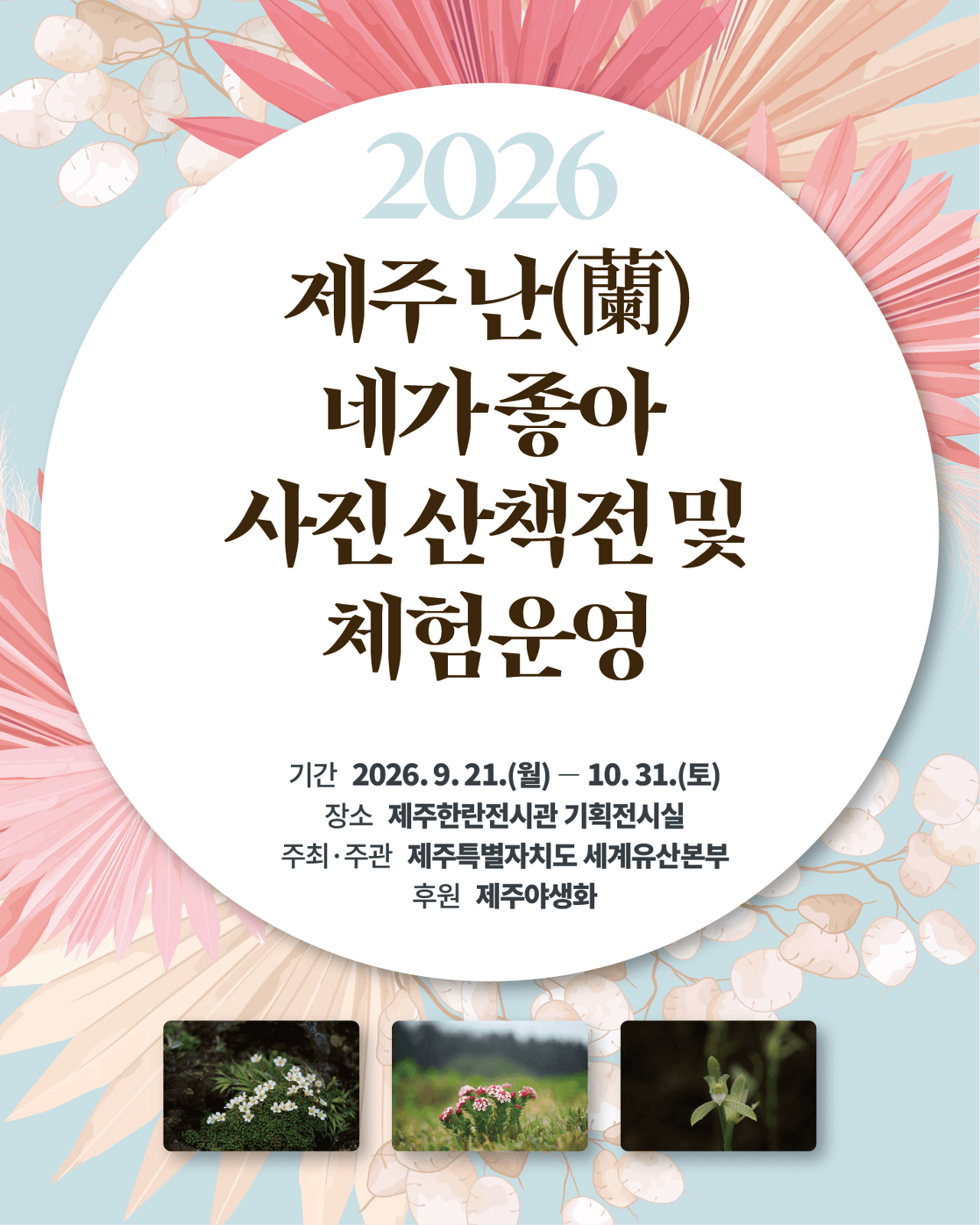2026년 제주 난(蘭) 네가 좋아 사진 산책전 및 체험