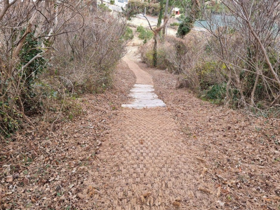 加西欧勒姆 (Gasi Oreum)